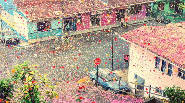 flower-petals-sony-4k-ultra-hd-advertisement-campaign-costa-rica-1