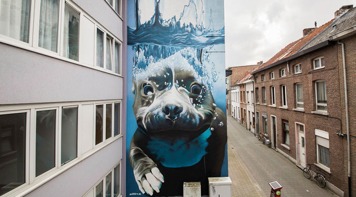 underwater-dog-mural-belgium-bart-smeets-smates-1