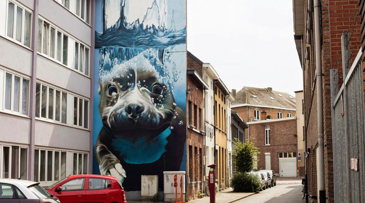 underwater-dog-mural-belgium-bart-smeets-smates-2
