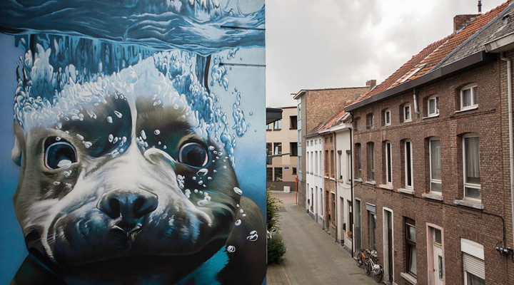 underwater-dog-mural-belgium-bart-smeets-smates-4